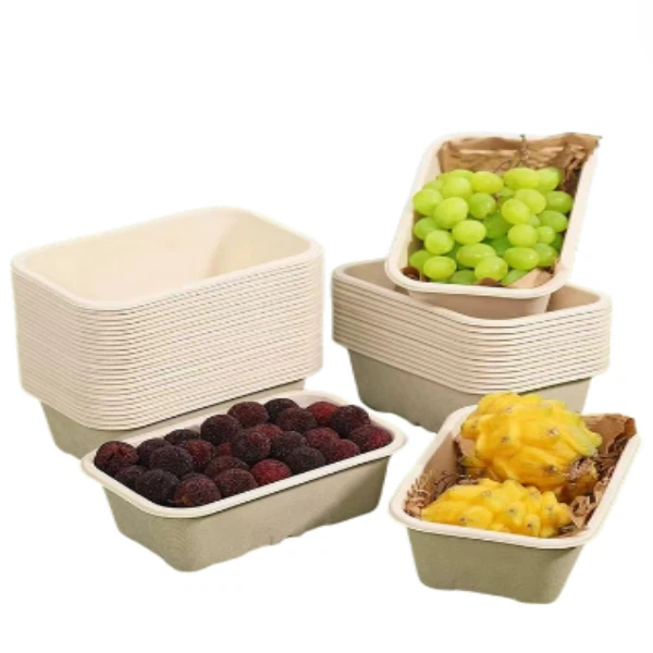 green food packing box