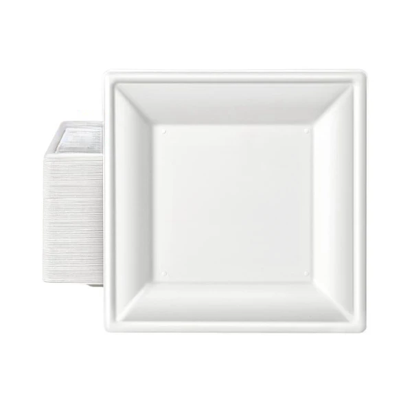 2 disposable plates from sugarcane waste